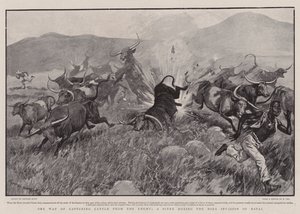 One Way of Capturing Cattle from the Enemy, a Scene during the Boer Invasion of Natal